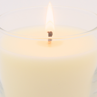 Lotus Beauty Scented Soy Candles - Saigon